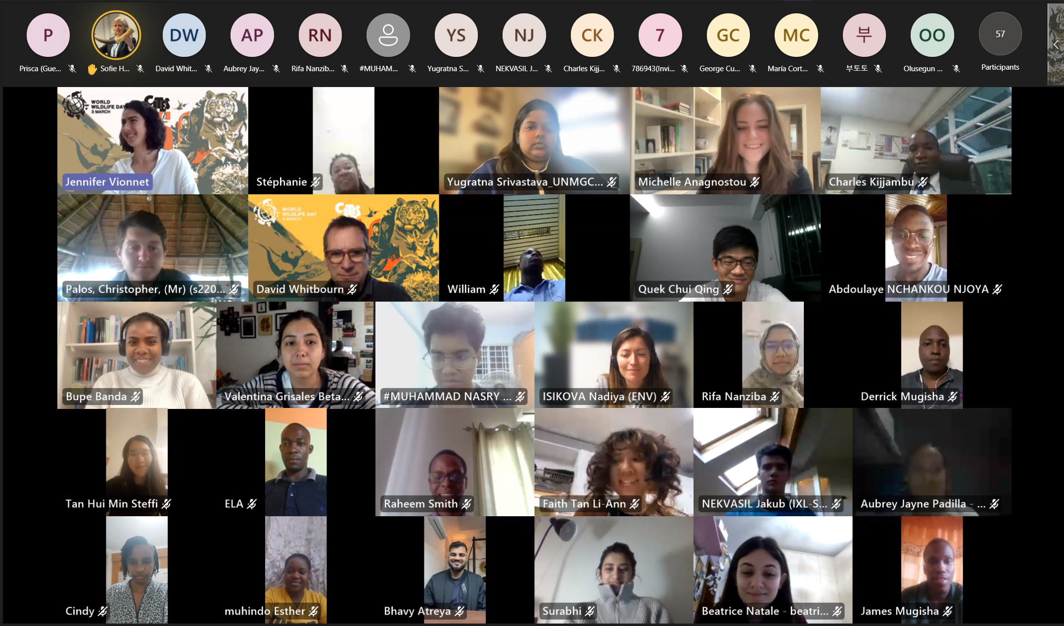 Webinar_group_photo