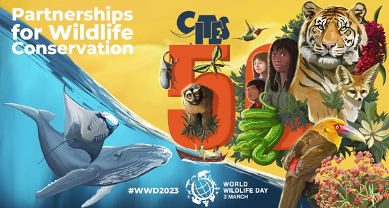 WWD2023_design