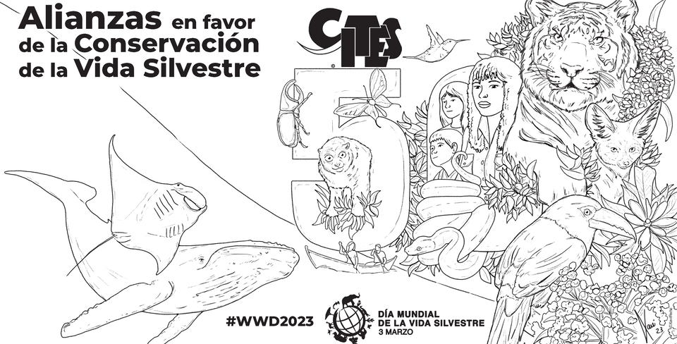 WWD2023_para-colorear