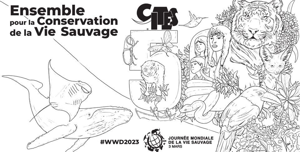 WWD2023_à_colorier