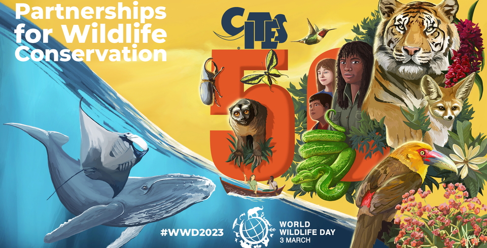 WWD2023_landscape_ENG