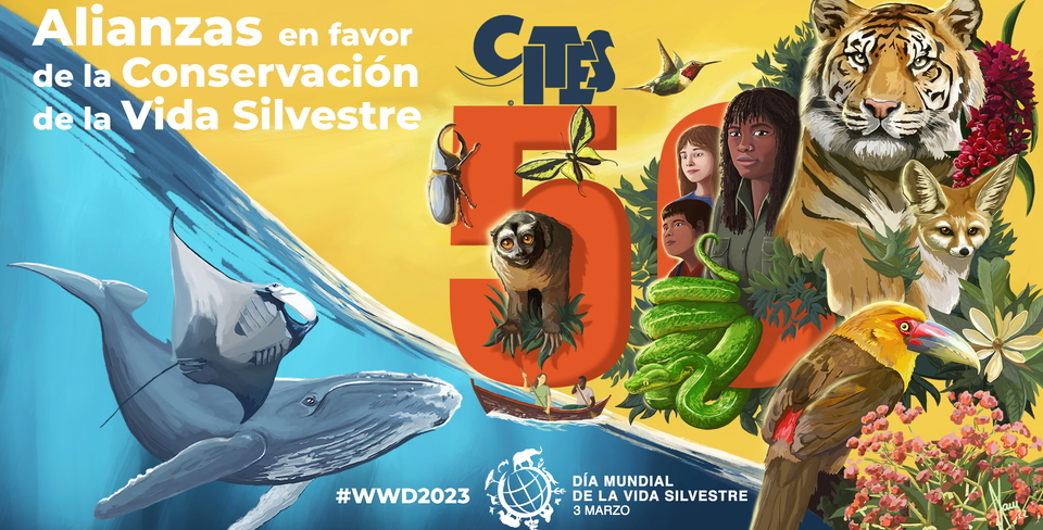 WWD2023_Youtube_ESP