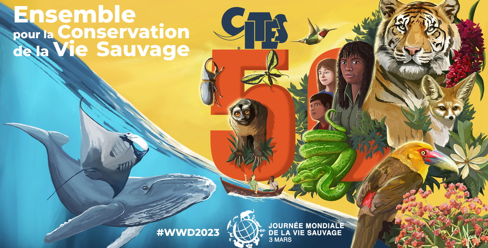 WWD2023_Youtube_FR