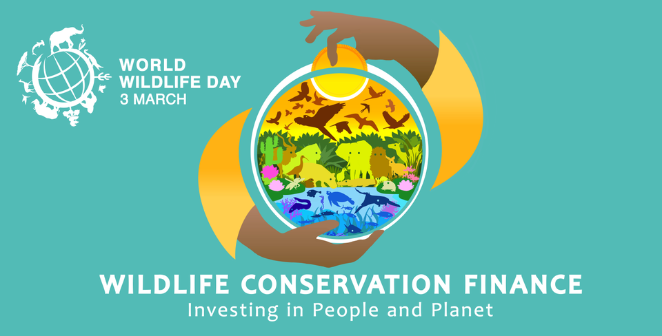 World Wildlife Day 2025 Poster (English)