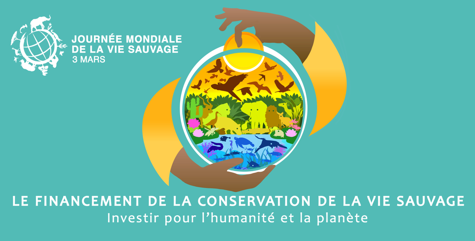 World Wildlife Day 2025 Poster (French)