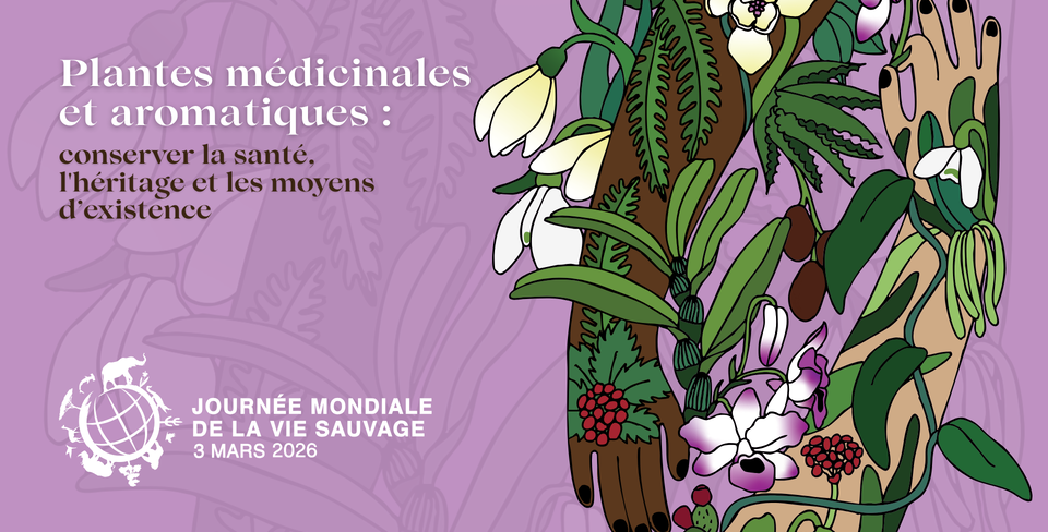 WWD2026 Affiche Officiel